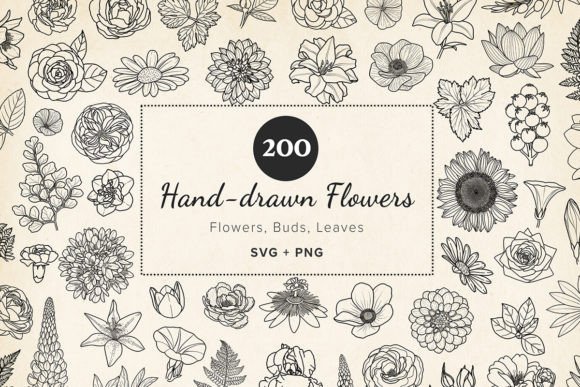 200 Hand-Drawn Flower & Leaf SVG Clipart: Your Botanical Design Toolkit