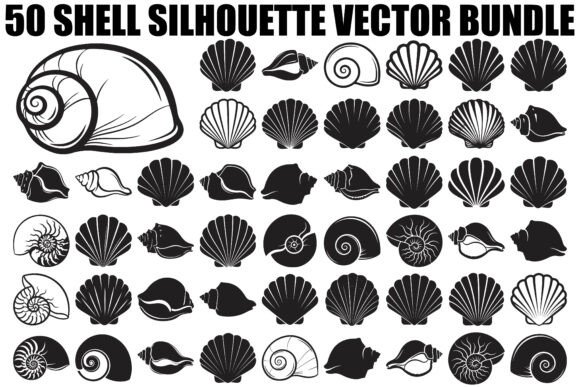 50 Shell Silhouettes for Coastal Design Projects