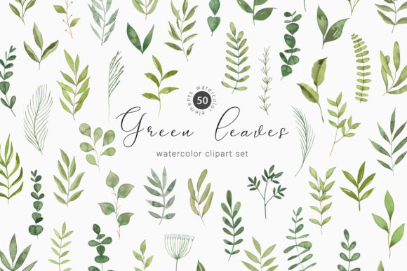 Elevate Your Projects with Watercolor Greenery Botanical Clipart